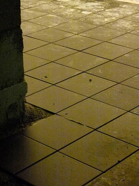 Carrelage Ganay N1 bis (02.02.12).jpg