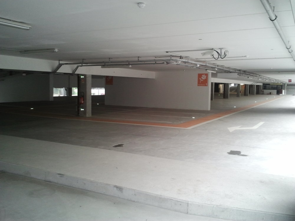 actu stade losc fanlosc