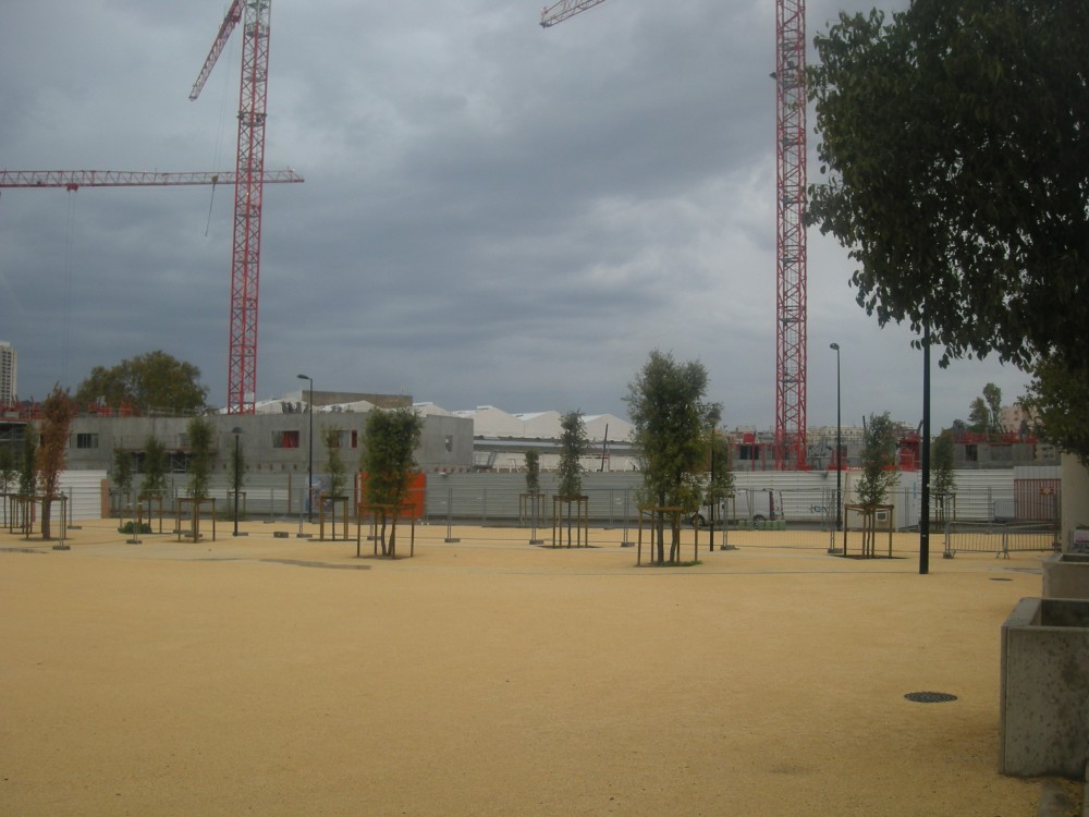 Parvis Ganay, ses arbres centenaires...à l'arrière plan le programme immobilier