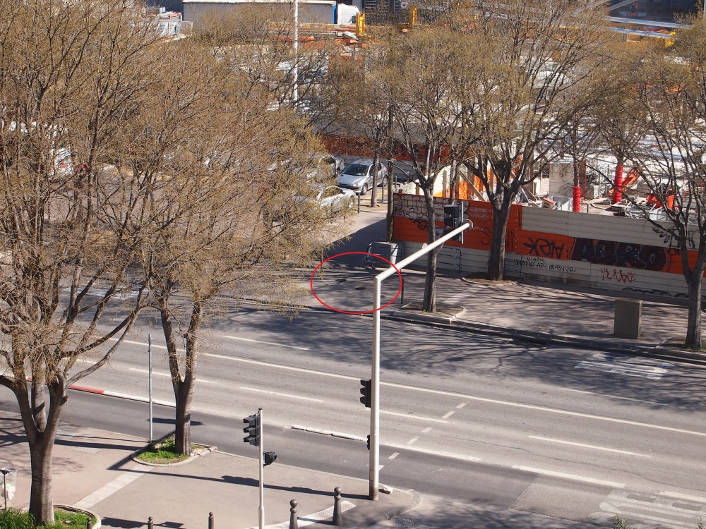 P3170049 - Copie.JPG