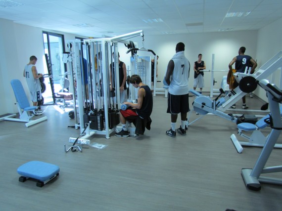 http://www.info-stades.fr/wp-content/uploads/2011/09/Vacheressemusculation.jpg