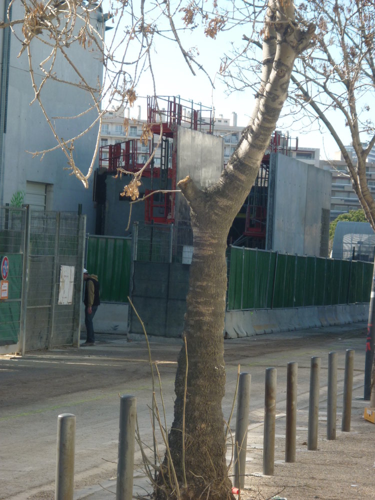 Le 17/02/12 vers 14h30