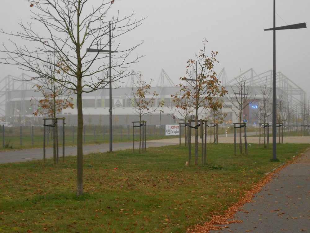 Arrivée sur le stade