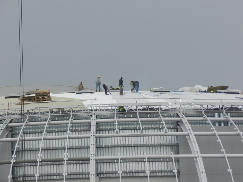 DSCN3552.JPG