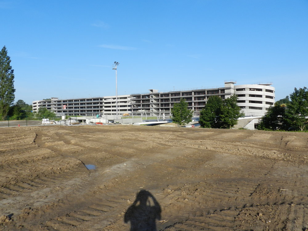 DSCN4195.JPG