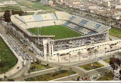 o_malaga_cf_la_rosaleda-319490.jpg