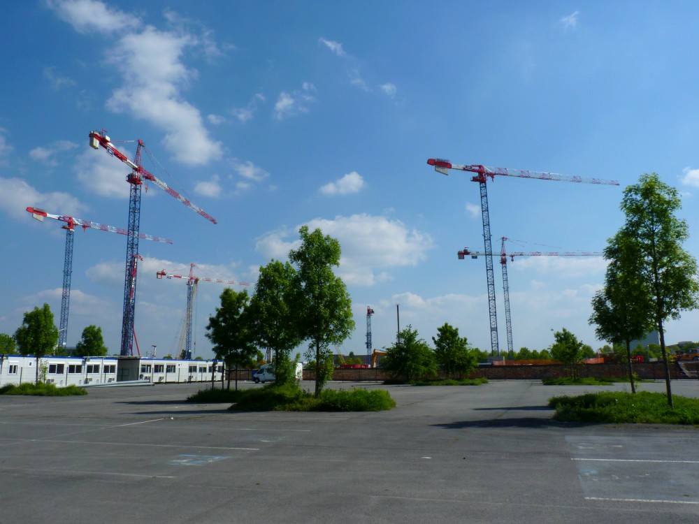 P1210534.JPG