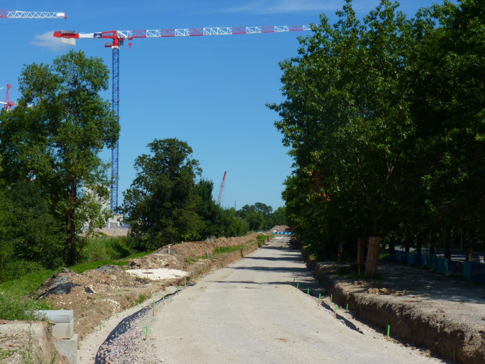 P1260002.JPG