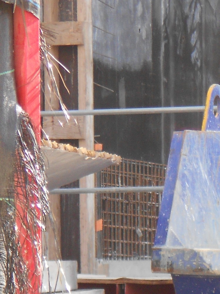DSCN1679.JPG